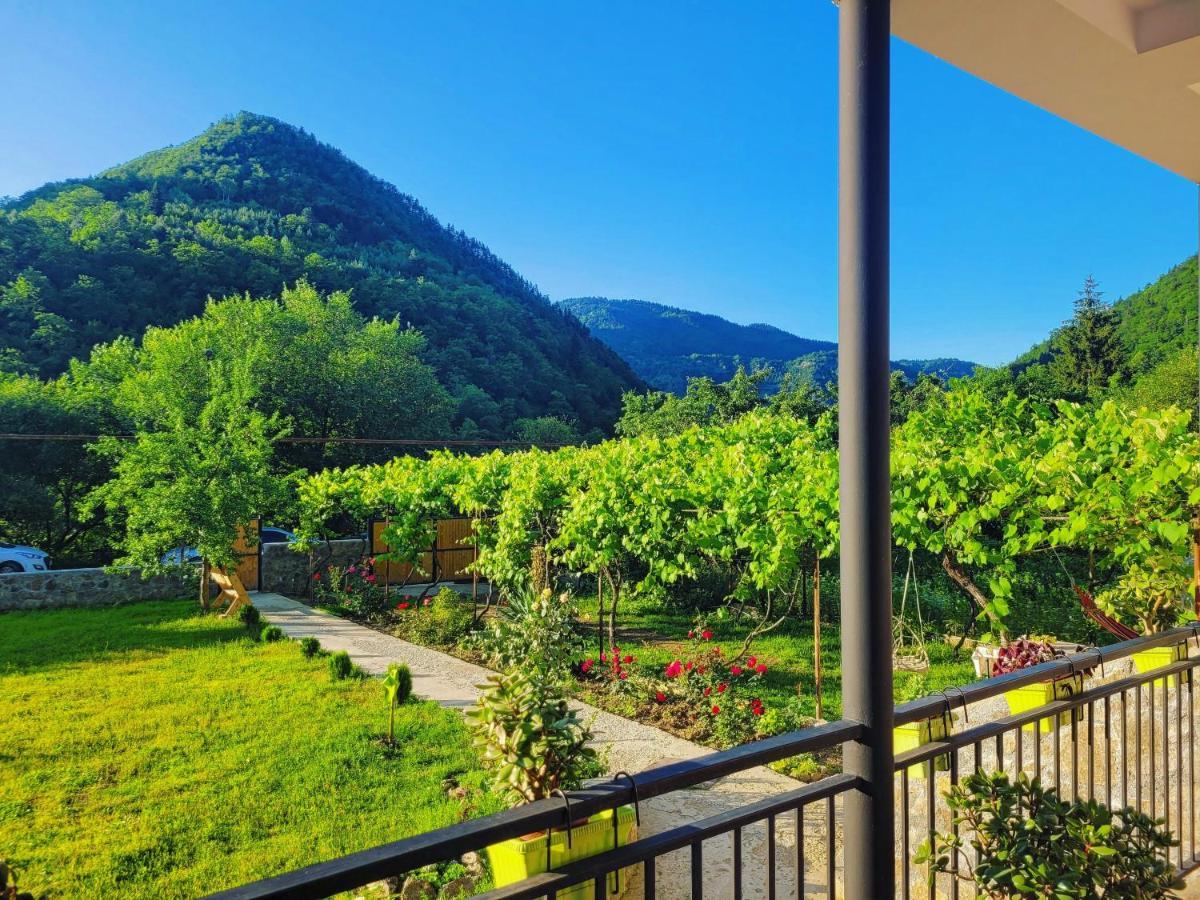 Family Hotel Mountain Panorama Borjomi Luaran gambar