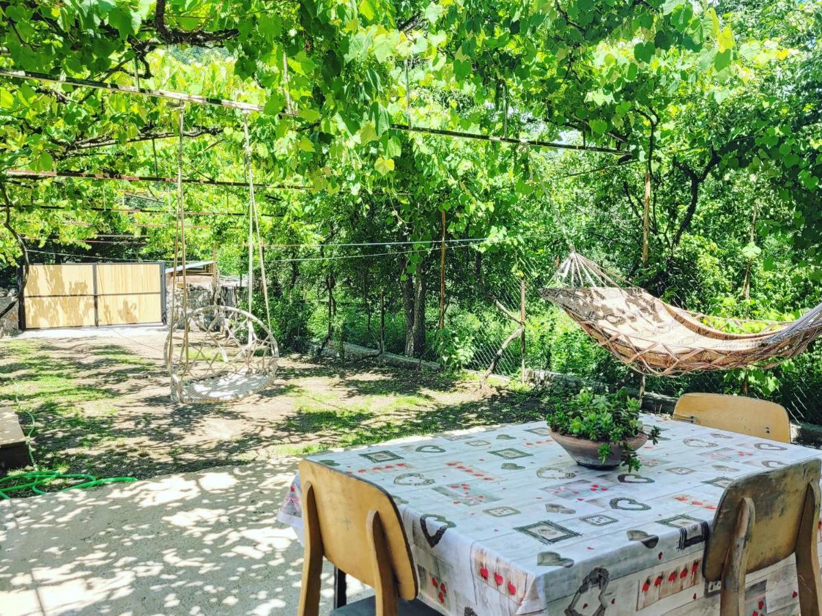 Family Hotel Mountain Panorama Borjomi Luaran gambar