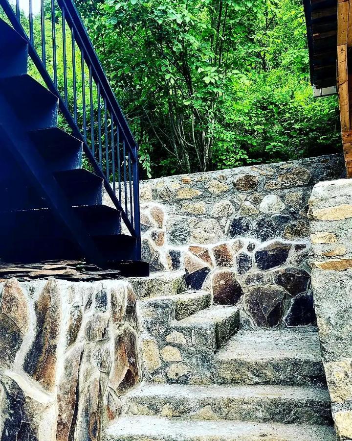 Family Hotel Mountain Panorama Borjomi Luaran gambar