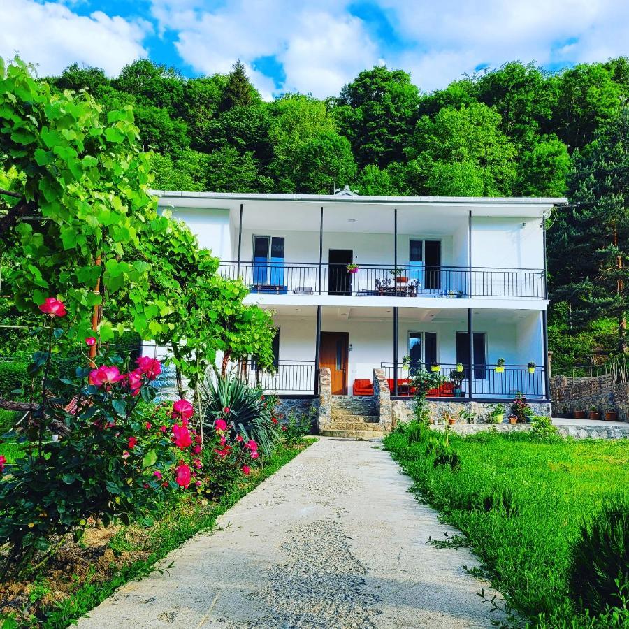 Family Hotel Mountain Panorama Borjomi Luaran gambar
