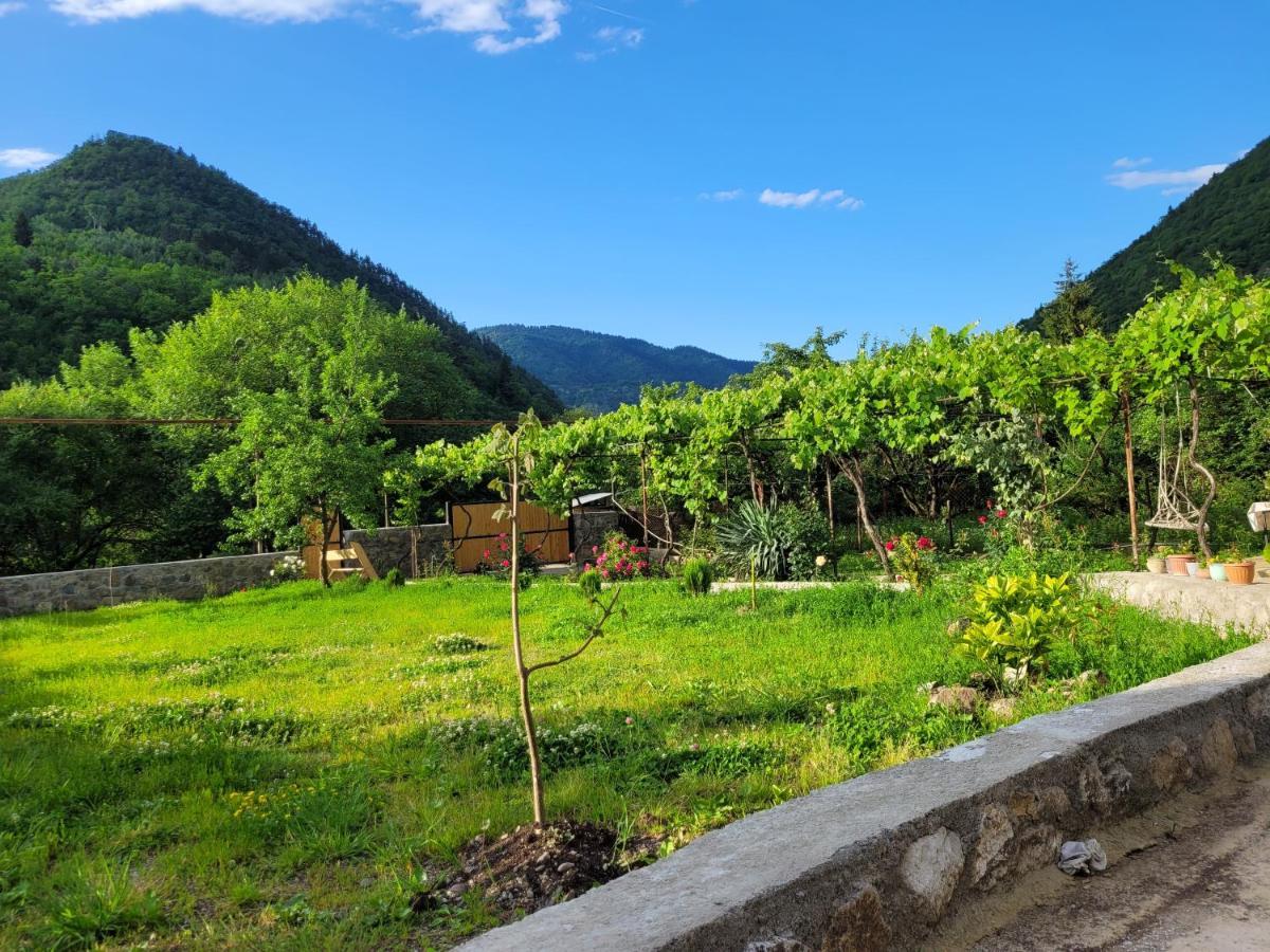 Family Hotel Mountain Panorama Borjomi Luaran gambar