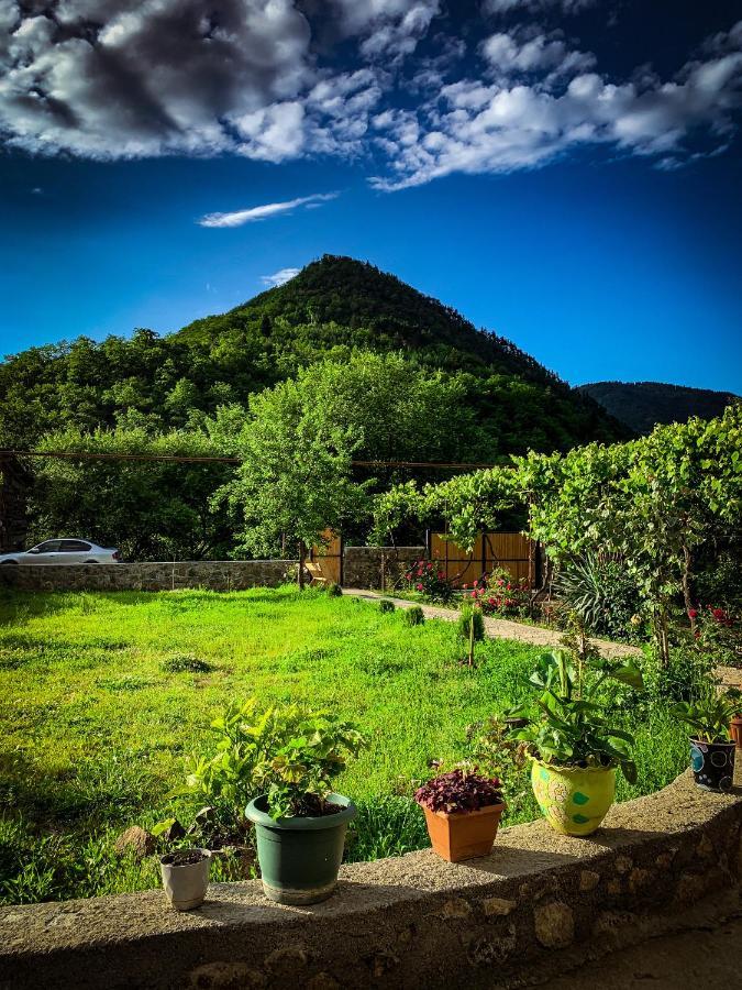 Family Hotel Mountain Panorama Borjomi Luaran gambar