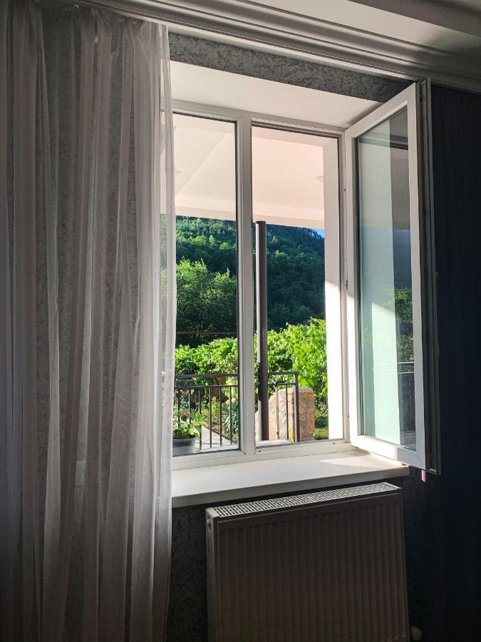 Family Hotel Mountain Panorama Borjomi Luaran gambar