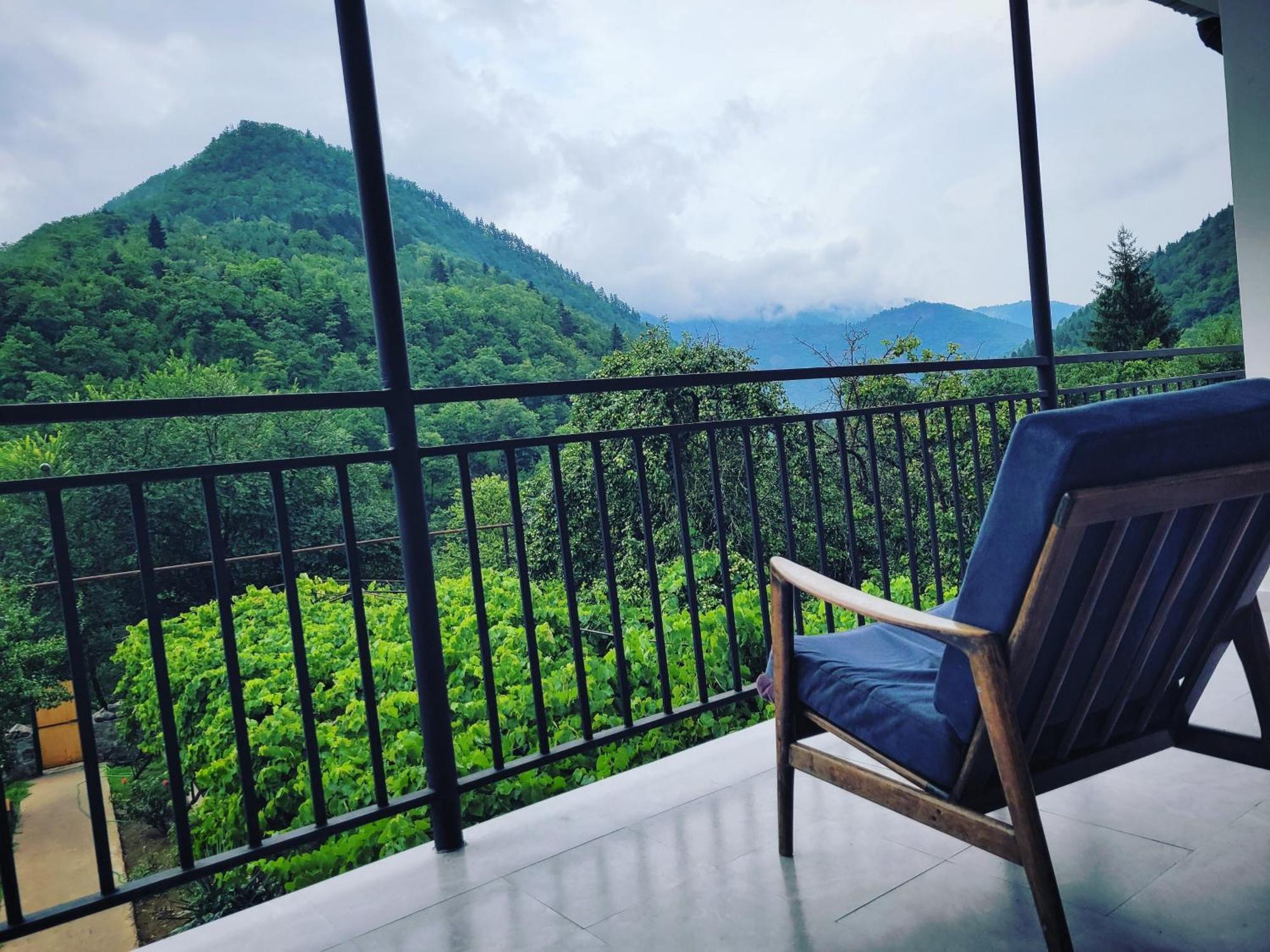 Family Hotel Mountain Panorama Borjomi Luaran gambar