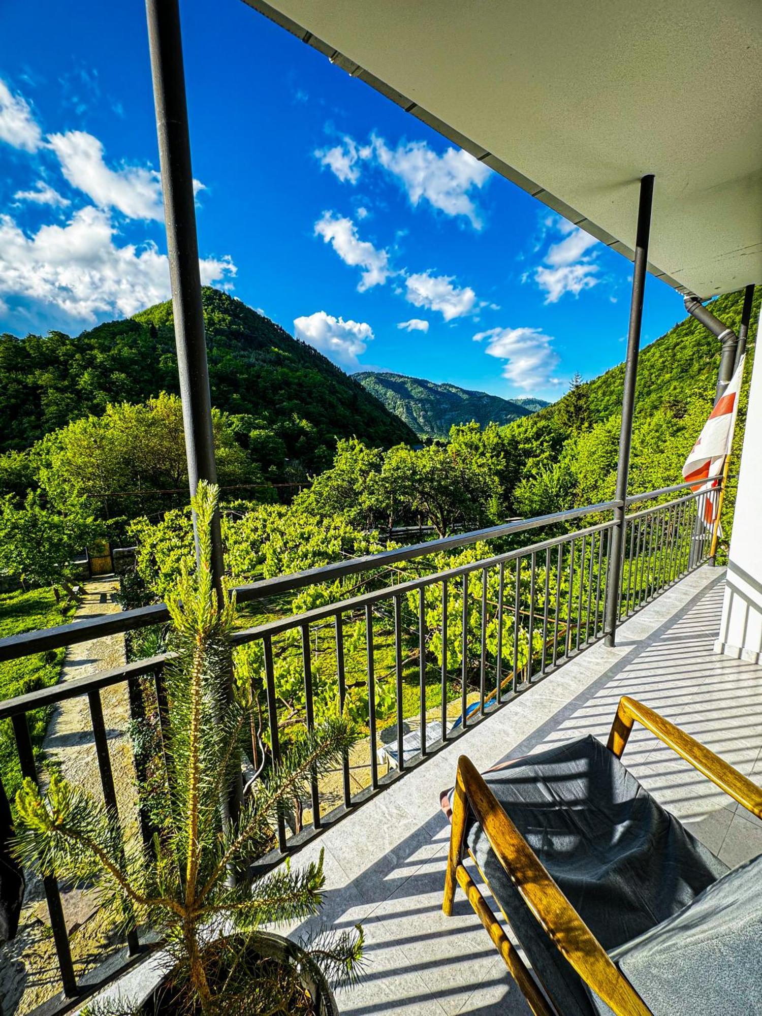 Family Hotel Mountain Panorama Borjomi Luaran gambar