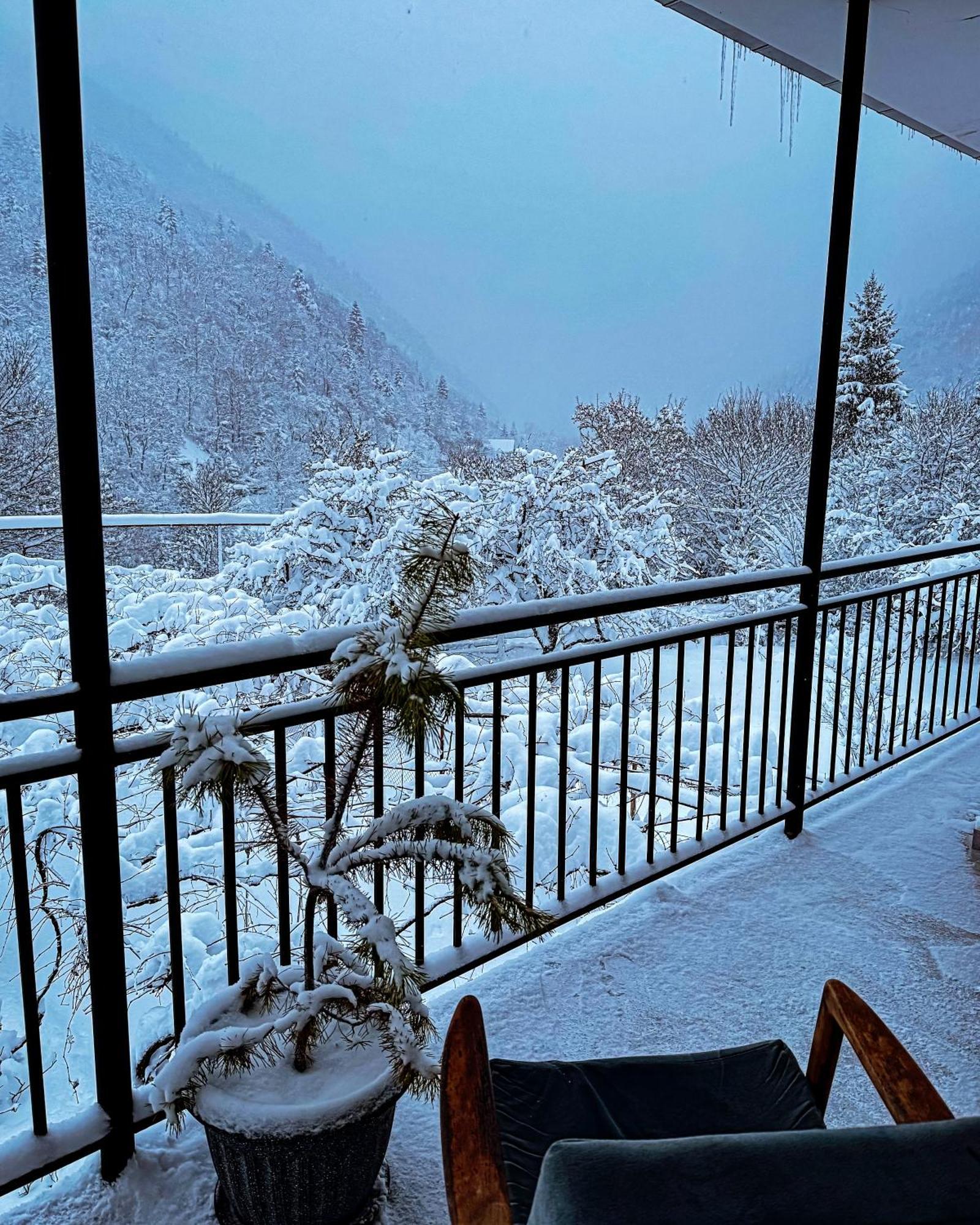 Family Hotel Mountain Panorama Borjomi Luaran gambar